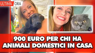 900€ a chi possiede animali domestici ecco come fare richiesta dal [upl. by Lymn]