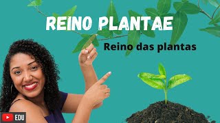 Aula Reino das Plantas Plantae [upl. by Schmitz961]