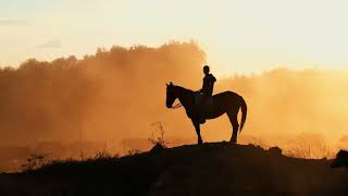 Los Vendavales de Adán Meléndez  Mi Caballito Visualizer [upl. by Hollah]