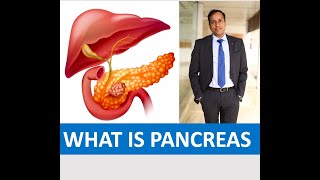 What is pancreas In Hindi By Dr Vikas Singla [upl. by Botnick]