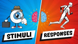 STIMULI and RESPONSES  Types  Interaction  Primary Education Grade 56  Elementary  Kids [upl. by Anaira153]