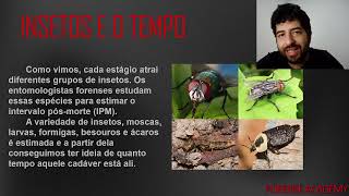 ENTOMOLOGIA FORENSE  AULA 02 [upl. by Adnot]