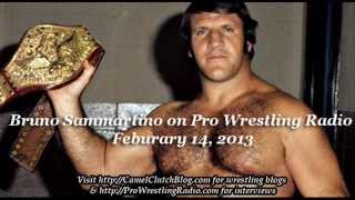 Bruno Sammartino Interview Talks WWE Hall of Fame Triple H Vince McMahon amp more [upl. by Macdonald]