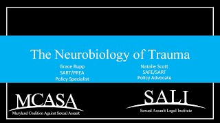 2924 SAVAT  The Neurobiology of Trauma [upl. by Asa578]