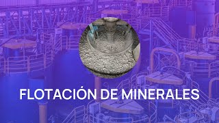 SPSS Estadística en Flotación de Minerales [upl. by Carbone]