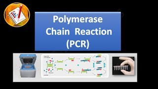 PCR  Polymerase Chain Reaction IQOGCSIC [upl. by Kort817]