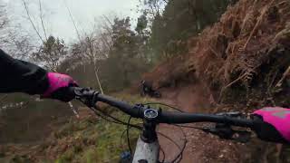 Monkey Trail MTB Lower Cliff trail at Cannock Chase [upl. by Amaleta]