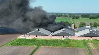 Honderden varkens omgekomen bij grote brand varkenshouderij in Mussel [upl. by Aerised]