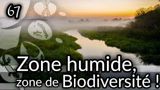 Ep67 zone humide zone de biodiversité [upl. by Vijnas]