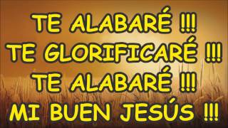 TE ALABARÉ TE GLORIFICARÉ [upl. by Ybhsa]