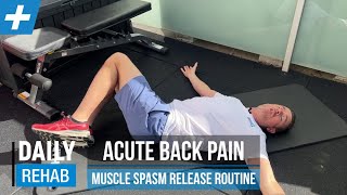 Acute Low Back Pain  Muscle Spasm Release Routine  Tim Keeley  Physio REHAB [upl. by Ennayoj]