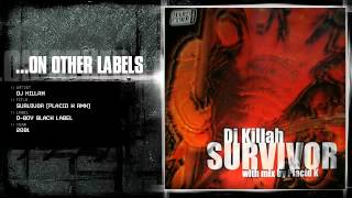 DJ Killah  Survivor Placid K rmx [upl. by Lalib]