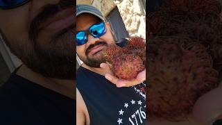 అమెరికా లో ఈ ఫ్రూట్ పేరు Rambutan ఇది Grapes taste ఉంటది లోపాల చూడడానికి lychee లాగా untadhi [upl. by Yregerg]