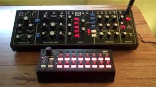 Korg SQ1 to Behringer Model D  CV [upl. by Aicilyhp]