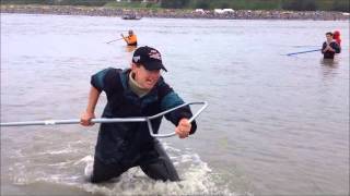 Dipnetting for Salmon in Kenai Alaska July 2012 Watch her net one and haul it in [upl. by Stronski]