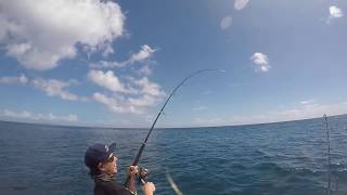 BIG KINGFISH amp SNAPPER AT LITTLE BARRIER [upl. by Thompson]