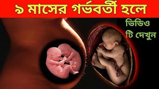 গর্ভাবস্থার ৯ মাসে শিশুর বিকাশ ও সতর্কতা9 Months Pregnancy Bangla৯ মাসের গর্ভবর্তী [upl. by Odlavso]