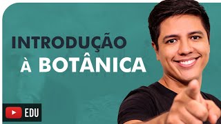 INTRODUÇÃO À BOTÂNICA  Briófitas Pteridófitas Gimnospermas e Angiospermas  Prof Kennedy Ramos [upl. by Yelloh730]