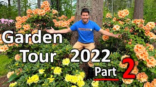 Rhododendron Garden Tour 2022 Part 2 More Flowers are Blooming at Kincaids Nursery [upl. by Nafri]