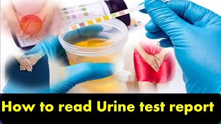 How to read Urine test report why test  reasons [upl. by Ahsaetal975]