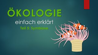 5 Symbiose  ÖKOLOGIE einfach erklärt [upl. by Gotthard]