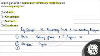 Which part of the mammalian alimentary canal does not secrete any enzyme [upl. by Anilesor]