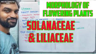 Morphology of flowering plants  Solanaceae and Liliaceae [upl. by Cataldo779]