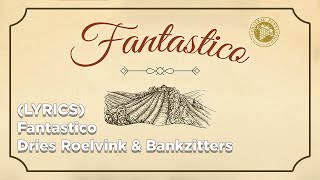 Dries Roelvink ft Bankzitters  Fantastico Lyrics [upl. by Arul]