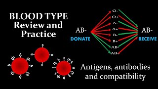 Blood Type  Review and Practice [upl. by Idurt]