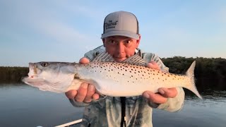 Inshore Fishing in Homosassa FL  February 23 Weekend [upl. by Tallulah]