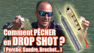 Comment PÊCHER les carnassiers en DROP SHOT  Perche sandre brochet [upl. by Ariamat]