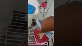 MASAK SPAGHETTI di THERMOS [upl. by O'Gowan602]