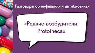 Редкие возбудители Prototheca [upl. by Sanson]