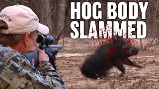 Texas Hog Hunting with Suppressed Rifle  Horsepower [upl. by Eahsan]