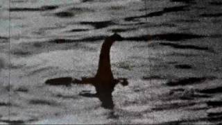 The Best Loch Ness Monster Video of 2011 and 2012  Steve Alten quotNessiequot Spotted Caught On Tape Live [upl. by Nwahsel47]