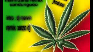 POR CULTIVAR MARIHUANA REMIX SANDUNGUEO BY DJ MARVIN PRODUCER [upl. by Martino]