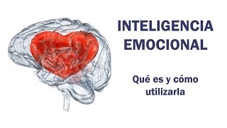 Inteligencia Emocional qué es y cómo utilizarla [upl. by Tnecillim563]