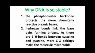 Why DNA is So Stable [upl. by Bentley]