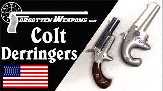 Colts 41 Derringers Buyout and Innovation [upl. by Methuselah678]