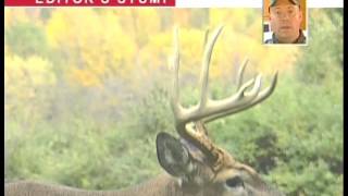 Scoring Whitetail Antlers on the Hoof  Deer Hunting [upl. by Annirtak]