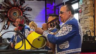 La Bamba Song Covered By The Sarasota Mariachi Band [upl. by Adnofal660]