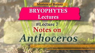 Lecture 7  Anthoceros Hornwort Life Cycle Important Bryophytes  Lecture Notes [upl. by Aerdied]