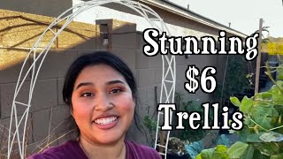 How to Make Stunning 6 DIY Garden Trellises for Climbing Plants [upl. by Nilla]