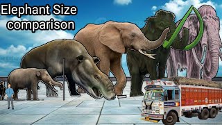 Elephant Size comparison  Monster Elephants  3d comparison [upl. by Femmine]