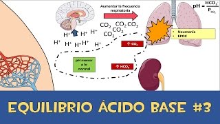 Equilibrio ácido base 3 💉 Amortiguador respiratorio y renal [upl. by Clarey]