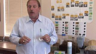 Flea Control  Using Borax to Kill Fleas [upl. by Adallard554]