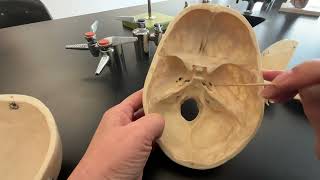 Skull Sphenoid and Ethmoid Bone and their bone markings [upl. by Muriah]