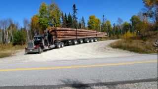 Peterbilt 359 Classic big smoke Logging [upl. by Areval]