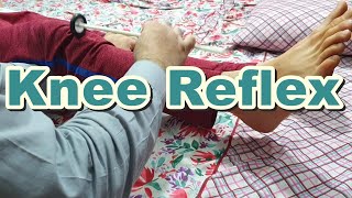 How to Do Knee  Patellar Reflex  Knee Jerk  Deep Tendon Reflexes  L2 L3 L4 Spinal Segments [upl. by Alvar]