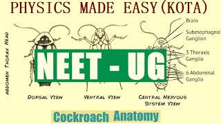 BIOLOGY SOLVED MCQs PART  II CORK TISSUE ANIMAL TISSUE COCKROACH ANATOMY FROG FOR NEET  1 [upl. by Zeph]